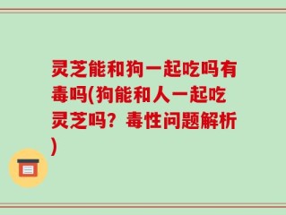 灵芝能和狗一起吃吗有毒吗(狗能和人一起吃灵芝吗？毒性问题解析)