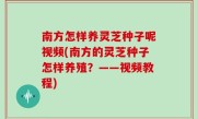南方怎样养灵芝种子呢视频(南方的灵芝种子怎样养殖？——视频教程)