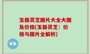 玉器灵芝图片大全大图及价格(玉器灵芝：价格与图片全解析)