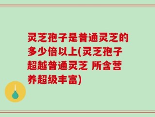 灵芝孢子是普通灵芝的多少倍以上(灵芝孢子超越普通灵芝 所含营养超级丰富)