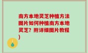 南方本地灵芝种植方法图片如何种植南方本地灵芝？附详细图片教程)