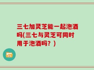 三七加灵芝能一起泡酒吗(三七与灵芝可同时用于泡酒吗？)