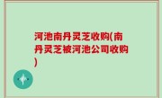 河池南丹灵芝收购(南丹灵芝被河池公司收购)