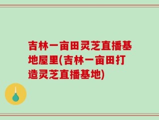 吉林一亩田灵芝直播基地屋里(吉林一亩田打造灵芝直播基地)