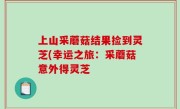 上山采蘑菇结果捡到灵芝(幸运之旅：采蘑菇意外得灵芝