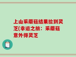 上山采蘑菇结果捡到灵芝(幸运之旅：采蘑菇意外得灵芝
