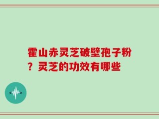 霍山赤灵芝破壁孢子粉？灵芝的功效有哪些
