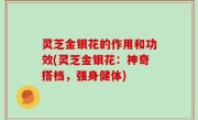 灵芝金银花的作用和功效(灵芝金银花：神奇搭档，强身健体)