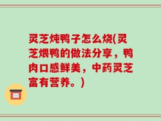 灵芝炖鸭子怎么烧(灵芝煨鸭的做法分享，鸭肉口感鲜美，中药灵芝富有营养。)