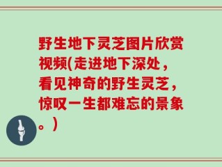 野生地下灵芝图片欣赏视频(走进地下深处，看见神奇的野生灵芝，惊叹一生都难忘的景象。)
