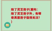 除了灵芝孢子(重构：除了灵芝孢子外，有哪些真菌孢子值得关注？)