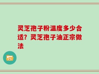 灵芝孢子粉温度多少合适？灵芝孢子油正宗做法