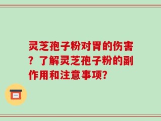 灵芝孢子粉对胃的伤害？了解灵芝孢子粉的副作用和注意事项？