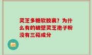 灵芝多糖软胶襄？为什么有的破壁灵芝孢子粉没有三萜成分