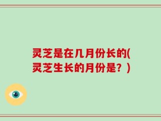 灵芝是在几月份长的(灵芝生长的月份是？)
