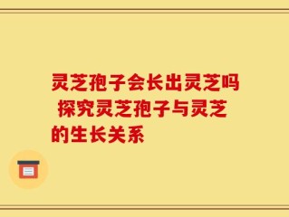 灵芝孢子会长出灵芝吗 探究灵芝孢子与灵芝的生长关系