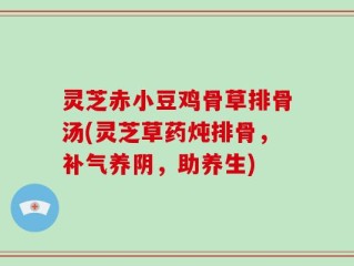 灵芝赤小豆鸡骨草排骨汤(灵芝草药炖排骨，补气养阴，助养生)