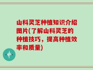 山科灵芝种植知识介绍图片(了解山科灵芝的种植技巧，提高种植效率和质量)