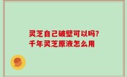 灵芝自己破壁可以吗？千年灵芝原液怎么用