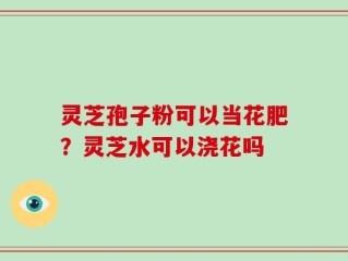灵芝孢子粉可以当花肥？灵芝水可以浇花吗