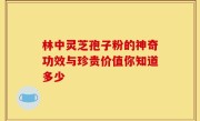 林中灵芝孢子粉的神奇功效与珍贵价值你知道多少