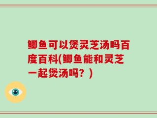 鲫鱼可以煲灵芝汤吗百度百科(鲫鱼能和灵芝一起煲汤吗？)