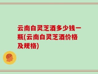 云南白灵芝酒多少钱一瓶(云南白灵芝酒价格及规格)