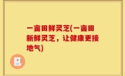 一亩田鲜灵芝(一亩田新鲜灵芝，让健康更接地气)