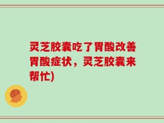 灵芝胶囊吃了胃酸改善胃酸症状，灵芝胶囊来帮忙)