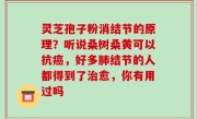 灵芝孢子粉消结节的原理？听说桑树桑黄可以抗癌，好多肺结节的人都得到了治愈，你有用过吗