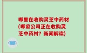 哪里在收购灵芝中药材(哪家公司正在收购灵芝中药材？新闻解读)