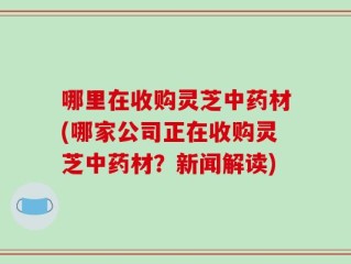 哪里在收购灵芝中药材(哪家公司正在收购灵芝中药材？新闻解读)