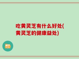 吃黄灵芝有什么好处(黄灵芝的健康益处)