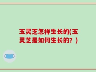 玉灵芝怎样生长的(玉灵芝是如何生长的？)
