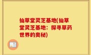 仙草堂灵芝基地(仙草堂灵芝基地：探寻草药世界的奥秘)