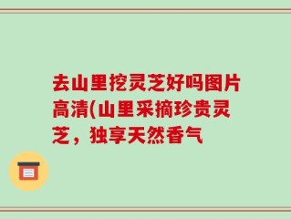 去山里挖灵芝好吗图片高清(山里采摘珍贵灵芝，独享天然香气