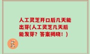人工灵芝开口后几天能出芽(人工灵芝几天后能发芽？答案揭晓！)