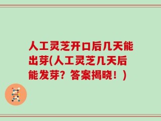 人工灵芝开口后几天能出芽(人工灵芝几天后能发芽？答案揭晓！)