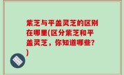 紫芝与平盖灵芝的区别在哪里(区分紫芝和平盖灵芝，你知道哪些？)