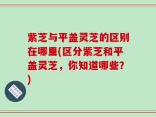 紫芝与平盖灵芝的区别在哪里(区分紫芝和平盖灵芝，你知道哪些？)