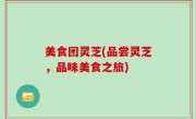 美食团灵芝(品尝灵芝，品味美食之旅)