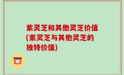 紫灵芝和其他灵芝价值(紫灵芝与其他灵芝的独特价值)