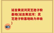 延吉黄泥河灵芝孢子粉基地(延吉黄泥河：灵芝孢子粉基地助力丰收)
