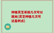 种植灵芝采摘几次可以回本(灵芝种植几次可达盈利点)