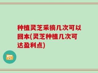 种植灵芝采摘几次可以回本(灵芝种植几次可达盈利点)