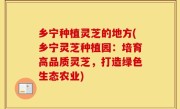 乡宁种植灵芝的地方(乡宁灵芝种植园：培育高品质灵芝，打造绿色生态农业)
