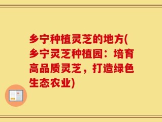 乡宁种植灵芝的地方(乡宁灵芝种植园：培育高品质灵芝，打造绿色生态农业)