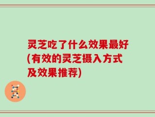 灵芝吃了什么效果最好(有效的灵芝摄入方式及效果推荐)