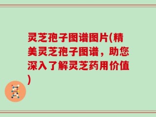 灵芝孢子图谱图片(精美灵芝孢子图谱，助您深入了解灵芝药用价值)