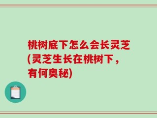 桃树底下怎么会长灵芝(灵芝生长在桃树下，有何奥秘)